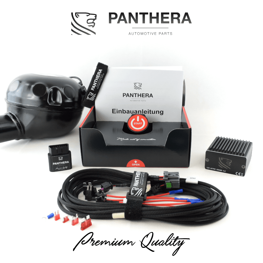 PANTHERA LEO ASC 7.1 ACTIVE SOUND SYSTEM V.2 – Bild 4